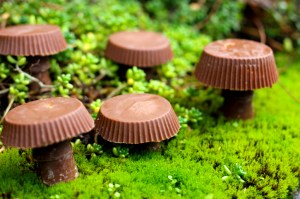 reese's and rolo mushrooms