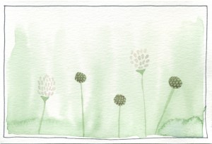 flowers on waterfall hike