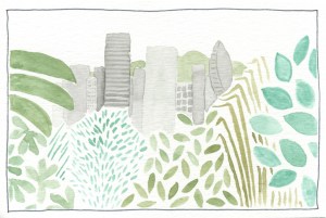 panama city view from parque natural metropolitano