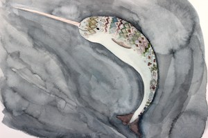 narwhal