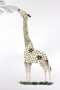 rothschild's giraffe