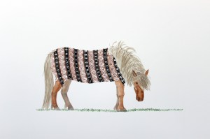shetland pony