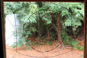 the pill barn windows