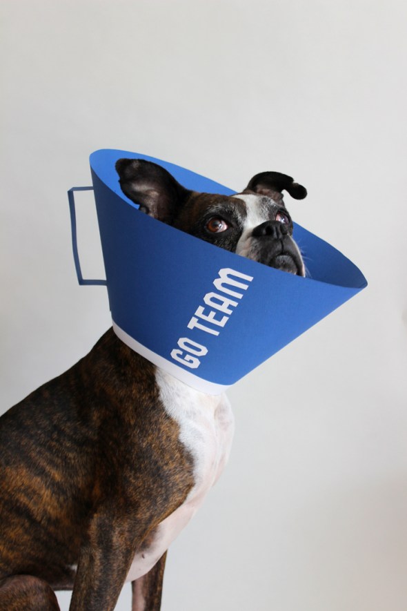 megaphone elizabethan collar