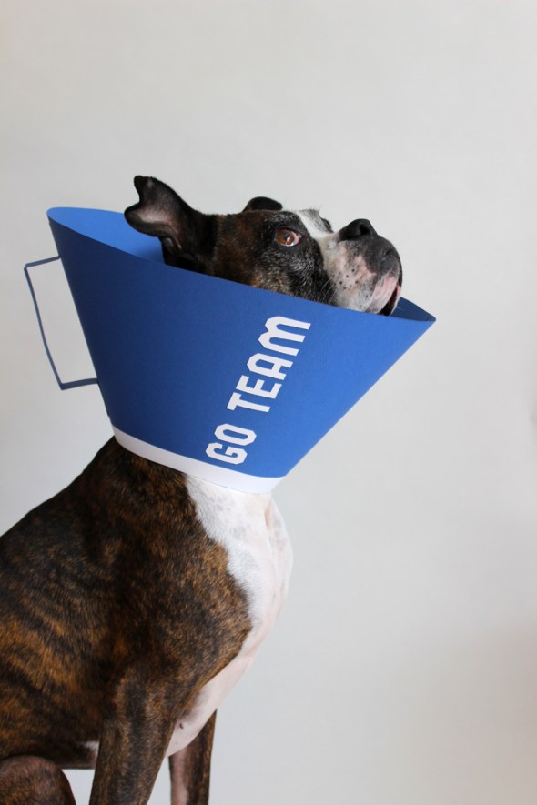 megaphone elizabethan collar