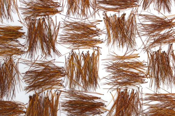 basket weave pine needles