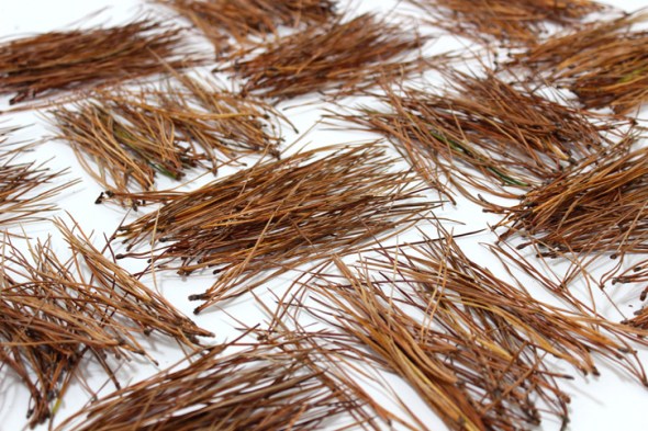 basket weave pine needles