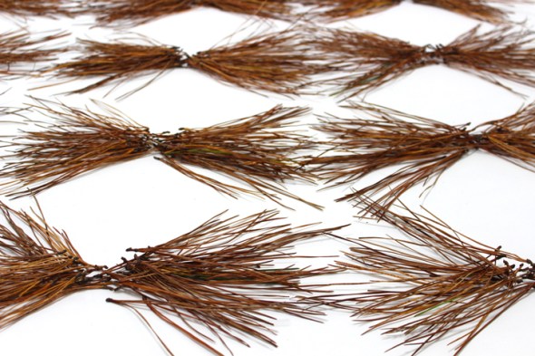 bow tie pine needles