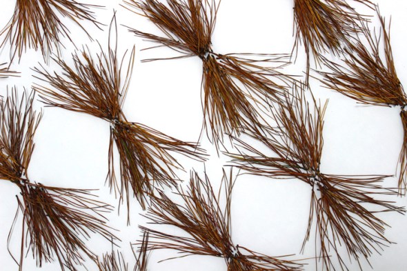 bow tie pine needles