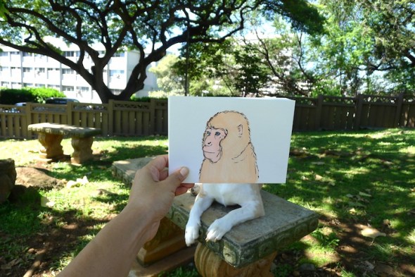 smarter than you think