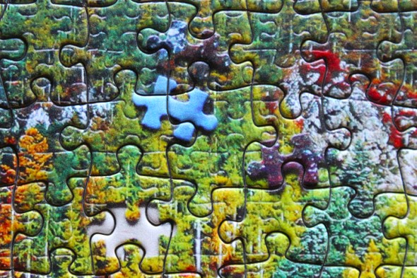 puzzle puzzle detail