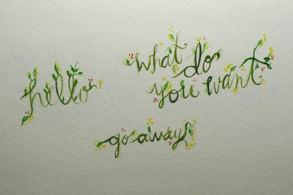 hello what do you want go away