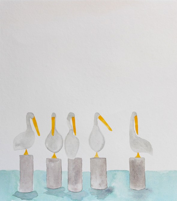 pelican watercolor