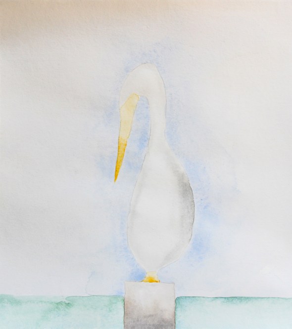 pelican watercolor