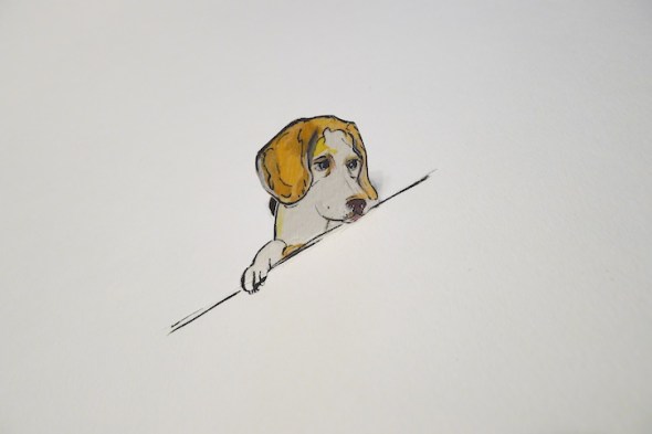 Buddy's favorite spot 