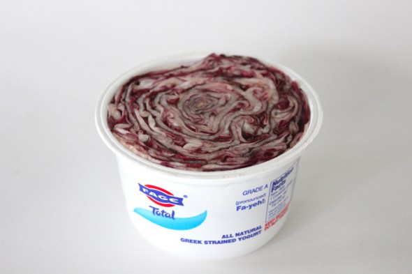 radicchio yogurt